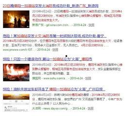 爆料视频从哪里查询到的,爆料视频来源追踪，揭秘幕后真相